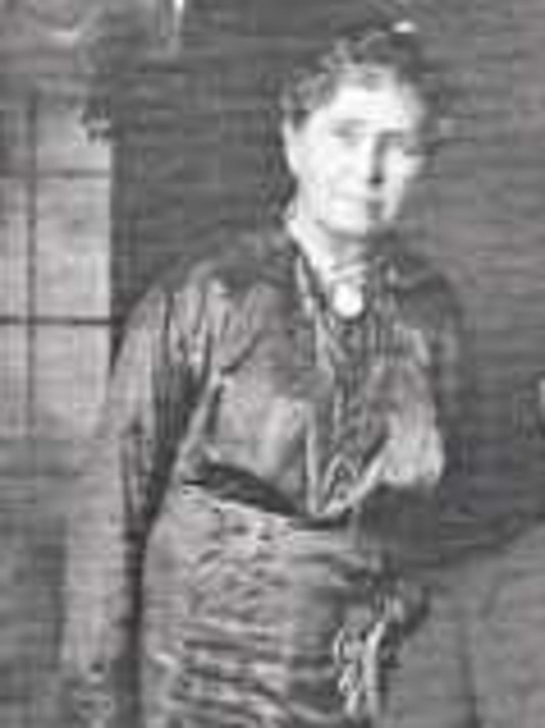 Sarah Ellen Stewart (1847 - 1932) Profile